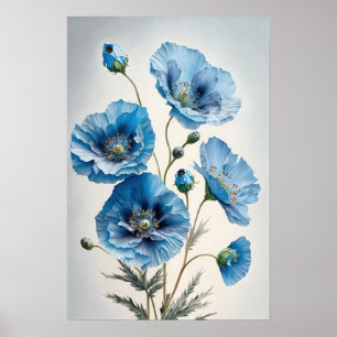 Blue Poppy Flowers Art Impressão