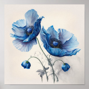 Blue Poppy Flowers Art Impressão