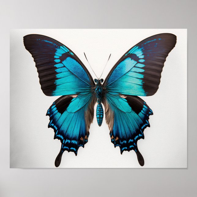 Blue Ulisses Butterfly Art Poster (Frente)