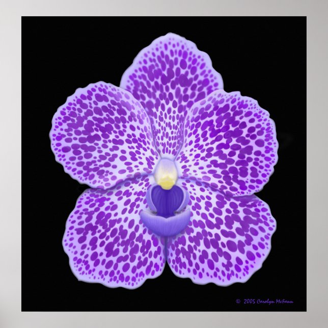 Blue Vanda Orchid Bloom Impressão (Frente)