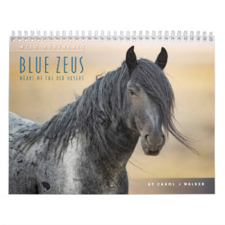Blue Zeus: Coração do Calendário do Deserto Vermel