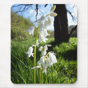 Bluebells brancos Mousepad