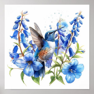 Bluebells Hummingbird Watercolor Impressão