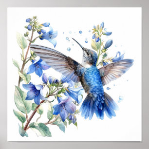 Bluebells Hummingbird Watercolor Impressão