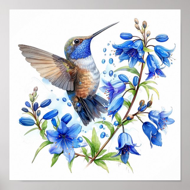 Bluebells Hummingbird Watercolor Impressão (Frente)