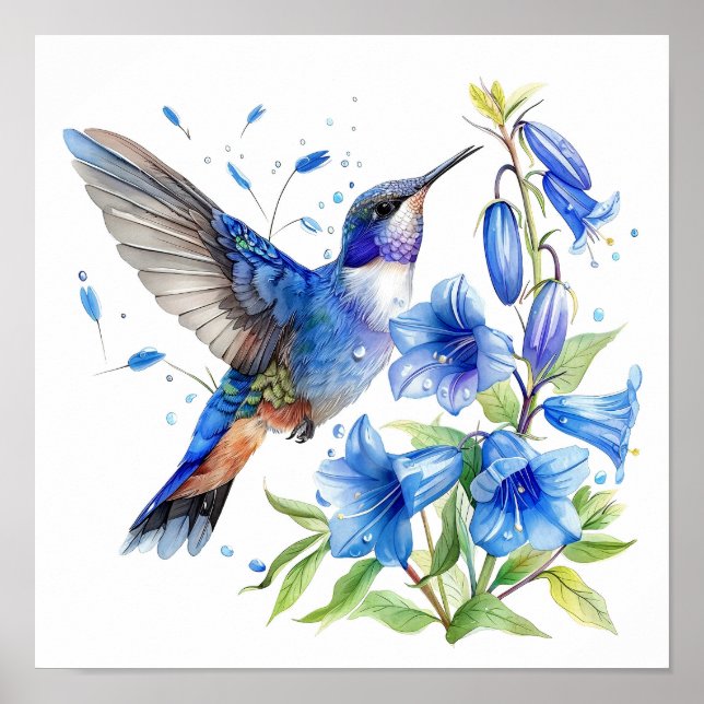 Bluebells Hummingbird Watercolor Impressão (Frente)