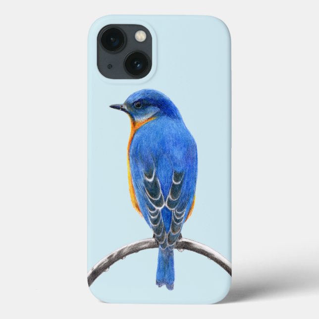 Bluebird (Verso)