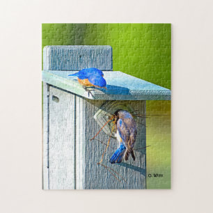 Bluebird 020 que aninha o quebra-cabeça 11x14 252