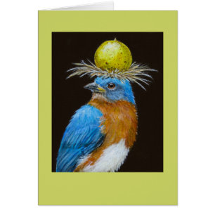 bluebird com cartão do scuppernong