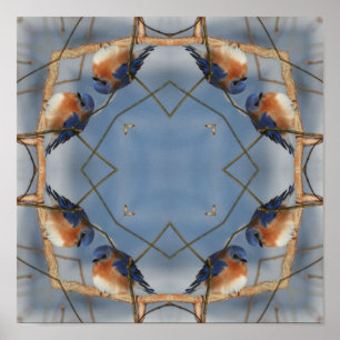 Bluebird Nature Abstrato Kaleidoscope Poster