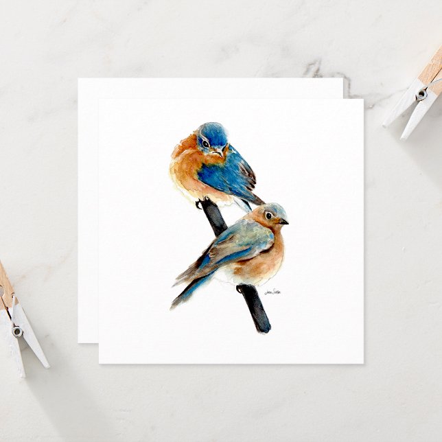 Bluebird Pair Linda Watercolor (Bluebird Pair Watercolor from Jenn Steffen Art)