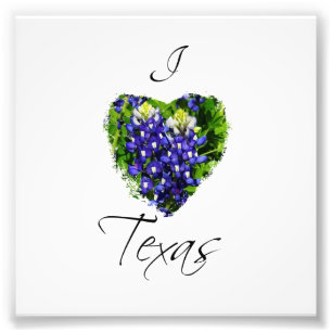 Bluebonnet "I Heart Texas" Impressão de fotografia
