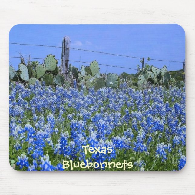 Bluebonnets & cacto de Texas na fazenda Mousepad (Frente)