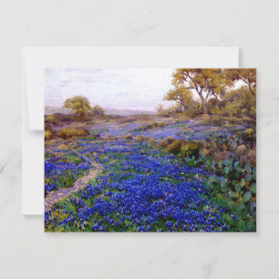 Bluebonnets na Twilight, norte de San Antonio