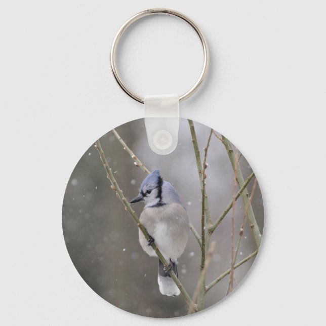 Bluejay na chaveiro de neve (Frente)