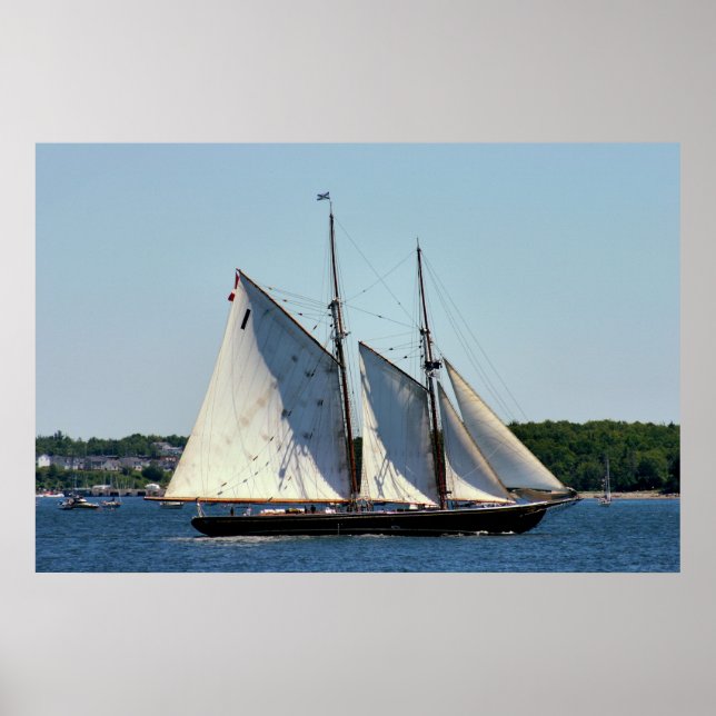 Bluenose II Schooner Poster (Frente)