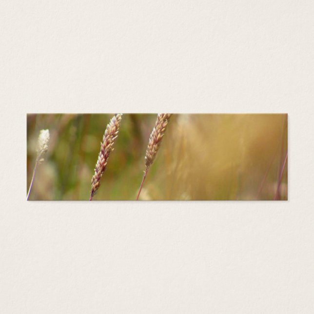 Blur de Campo de Trigo (Frente)
