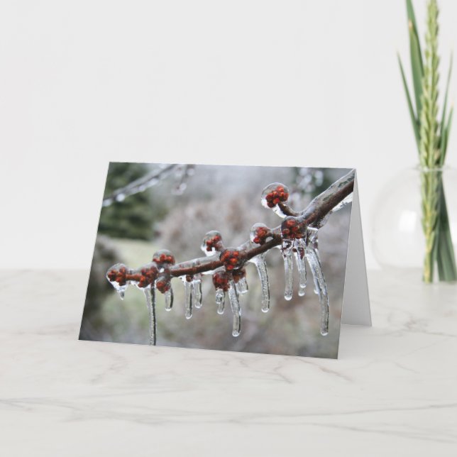 Boas festas cartão (Frente)