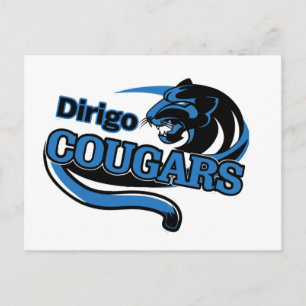 Boas notícias do cartão escolar