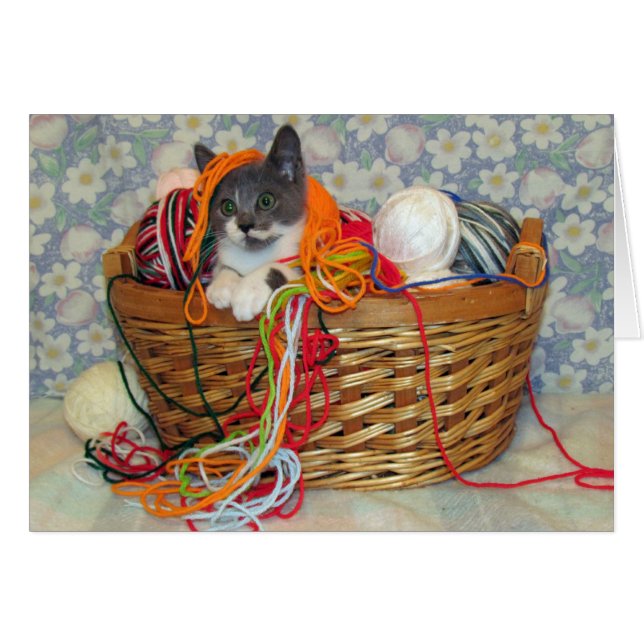 Bob Spinn'in um cartão do fio (Frente Horizontal)