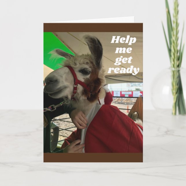 **BOBO LLAMA** DIGA CARTÃO DE ANIVERSÁRIO FELIZ (Frente)