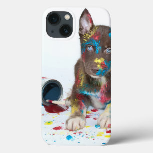 Bobo Rouco Puppy entrou em Baldes de pintura