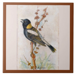Bobolink Large Bird Cerâmica Azulejo