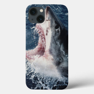 Boca de tubarão elevada aberta