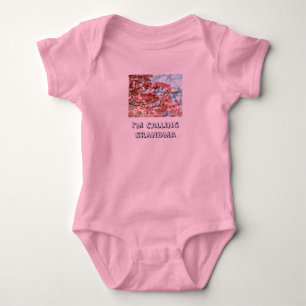 Body Para Bebê Bebê humor, estou chamando vovó Floral