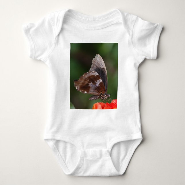 Body Para Bebê Borboleta Branca e Marrom em Flor Vermelha (Frente)