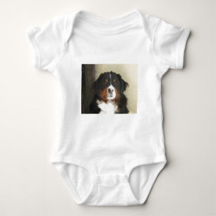 Body Para Bebê Cão de Bernese