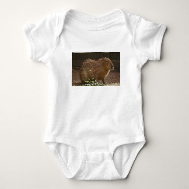 Body Para Bebê Capybara (Frente)