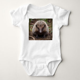 Body Para Bebê **"Começos Espiosos: O Adorável Bebê Echidna"**