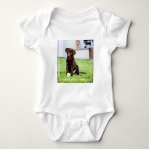 Body Para Bebê Filhote De Labrador De Chocolate Com Bola De Têni