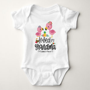 Body Para Bebê Flamingo Rosa Adorável - Amado pela Vovó