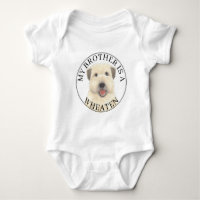 Irmão Wheaten Terrier