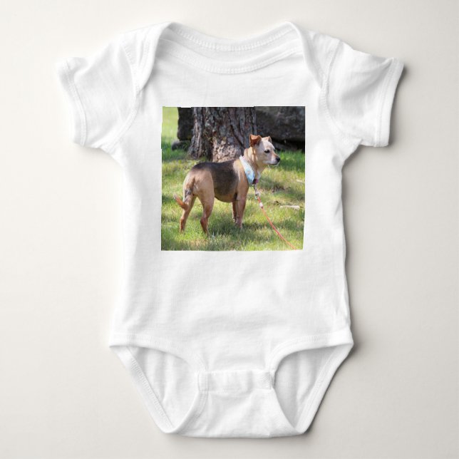 Body Para Bebê Lily (Frente)