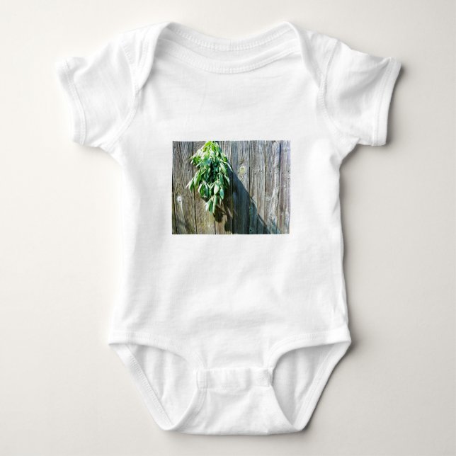 Body Para Bebê Sage Barn-wood, recortada recentemente (Frente)