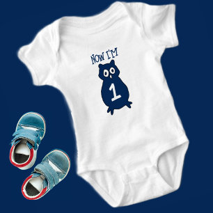 Body Para Bebê Tema de Coruja Aniversário Um Ano de Idade