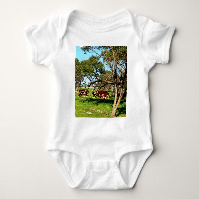 Body Para Bebê Vacas No Intervalo, (Frente)