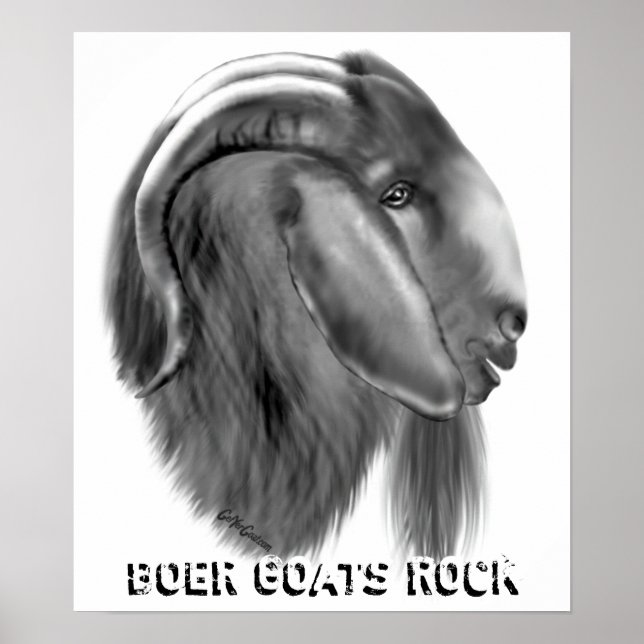 Boer Goat Poster (Frente)