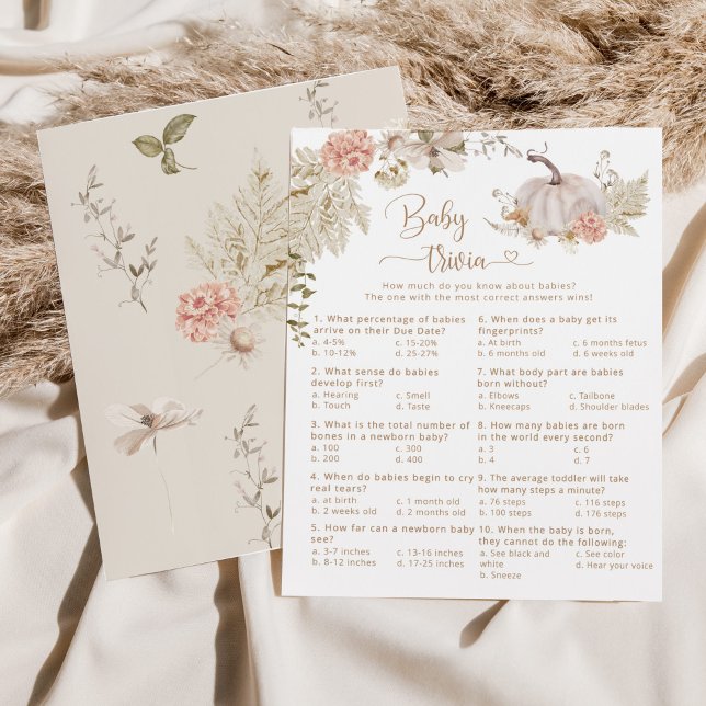 Boho bompkin Bebê jogo de chá de fraldas (Criador carregado)