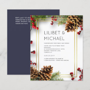 Boia-Noite de Pinheiro