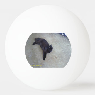 bola blinky do pong do sibilo