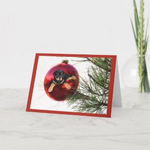 Bola de Cartão de Natal Rottweiler