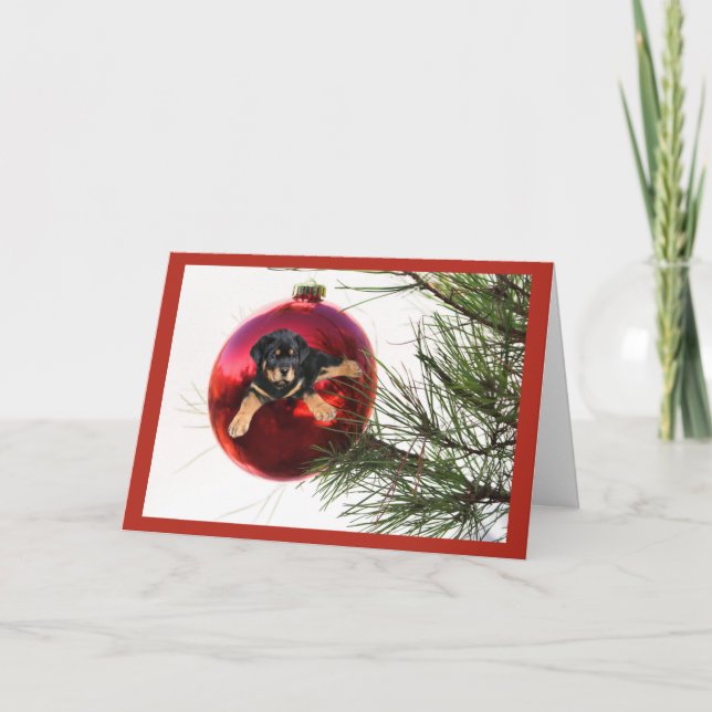 Bola de Cartão de Natal Rottweiler (Frente)
