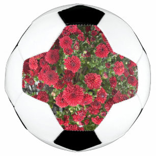 bola de futebol
