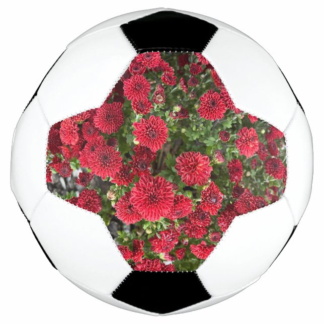 bola de futebol (Frente)