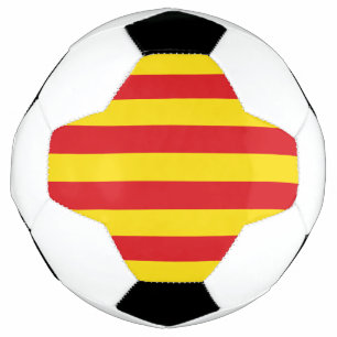 BOLA DE FUTEBOL 
