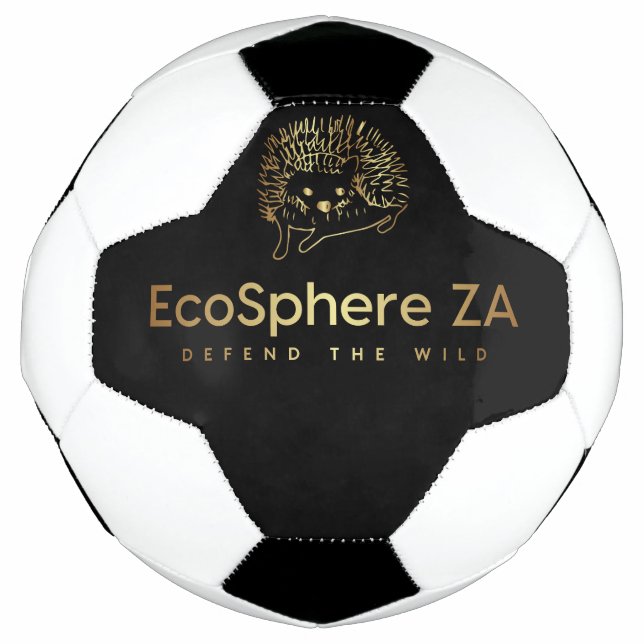 Bola de futebol (Frente)